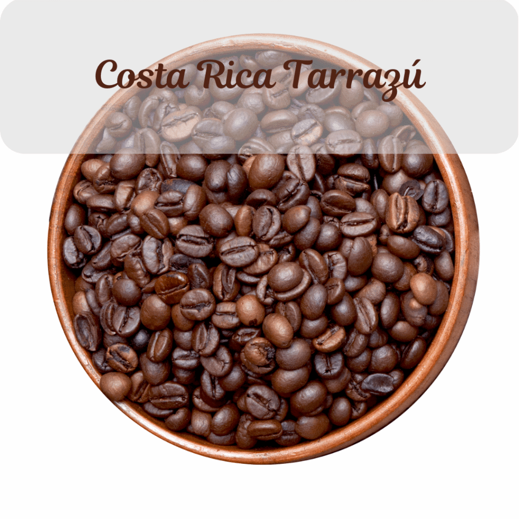 Coffee Costa Rica Tarrazú